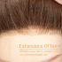 Medical Hair Wig 16